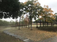 -梁鸿国家湿地公园