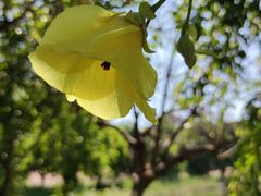 -五里桥文化公园-西侧停车场