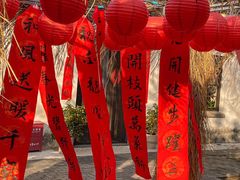 -同里国家湿地公园