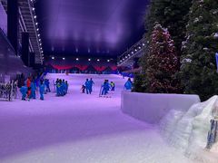 -世界之窗阿尔卑斯冰雪世界
