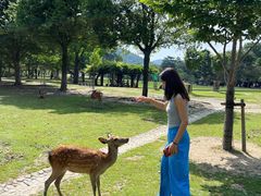 -奈良公园