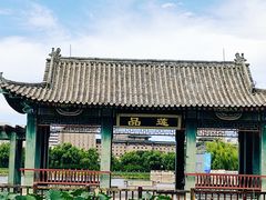 -莲花池公园