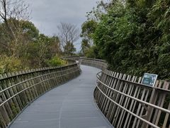-福道