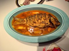 -阿五黄河大鲤鱼(英协路店)
