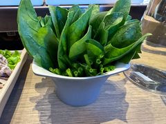 -额尔敦涮肉自助(摩尔城店)