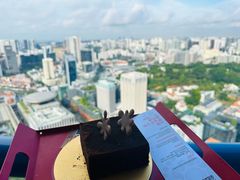 -新加坡瑞士史丹福酒店