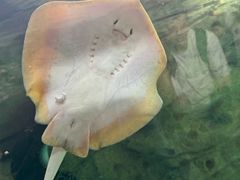 -珠海长隆海洋王国