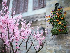 -回龙窝历史文化街区