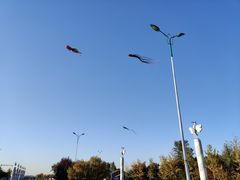-丁香湖公园
