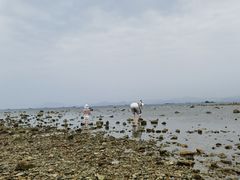 -三亚西岛海洋文化旅游区