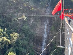 -九龙江国家森林公园