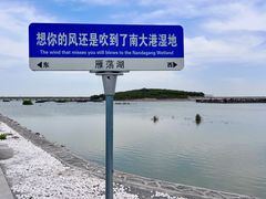 -南大港湿地风景区