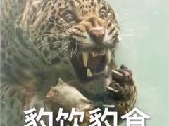 -朱洪元苏式面馆(绿宝广场店)