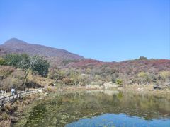 -周口店坡峰岭风景区