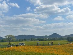 -良渚古城遗址公园