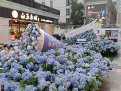 -HALO广场(梨园路店)