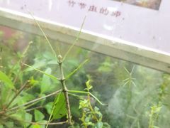 -上海昆虫博物馆