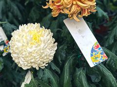 -国家植物园