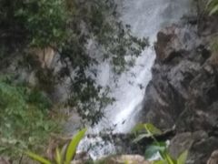 -九龙江国家森林公园