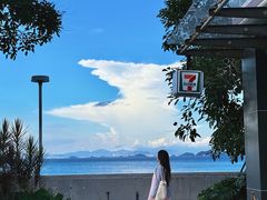-杨梅坑