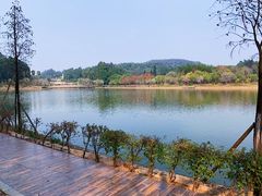 -南国桃园旅游度假区