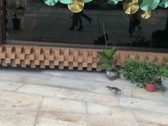 -小芙蓉湘菜馆(易生活购物公园店)