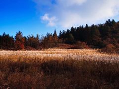 -山王坪喀斯特国家生态公园