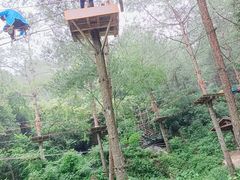 -梦幻奥陶纪景区