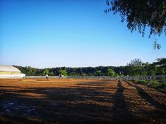 -月河湾马术俱乐部(朝阳店)