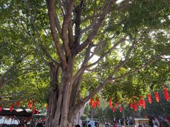 -白帝城·瞿塘峡景区