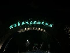 -荷兰花海
