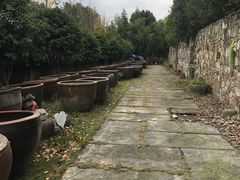 -鄞州雪菜博物馆