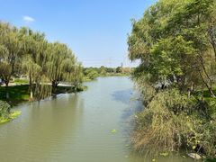 -九里河湿地公园