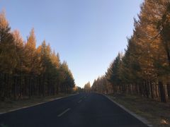 -塞罕坝国家级自然保护区