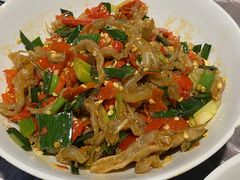 鸭掌筋-壹盏灯(惠农店)