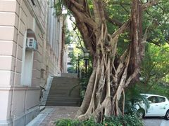 -香港大学
