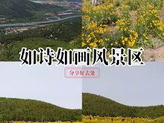 -佛慧山