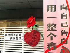 -万科生活广场(东莞松山湖店)