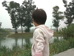-两河城市森林公园