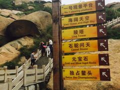-洋山深水港