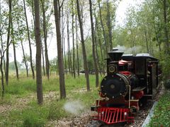 -合肥滨湖国家森林公园