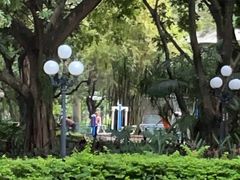 -荔枝公园(福田区)