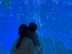 -南昌融创海世界