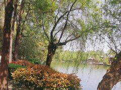 -棠湖公园