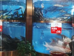 -蜀滋香鲜鱼美蛙火锅(339店)