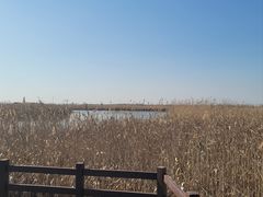-宁波杭州湾国家湿地公园
