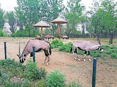 -大连森林动物园