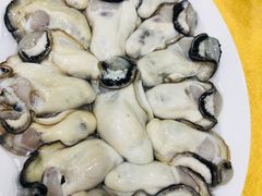 -濠轩阁特色生蚝火锅(水湾路店)