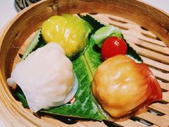 -点都德·毕德寮