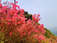 -木兰云雾山